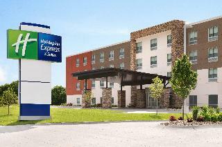 Hotel Holiday Inn Express & Suites Locust Grove