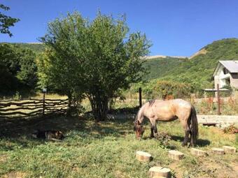 Hotel Vardeni Guesthouse