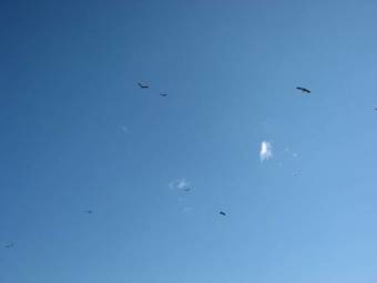 Hostal Drakensberg House