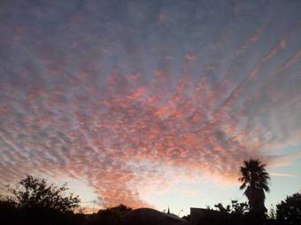 Bed & Breakfast Wheatlands Lodge