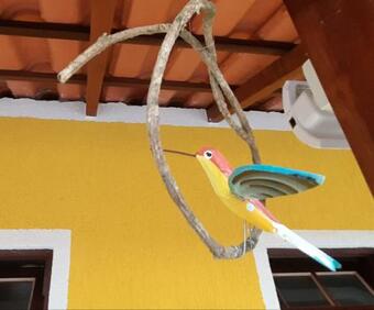 Apartamento A Ver O Mar Beach House