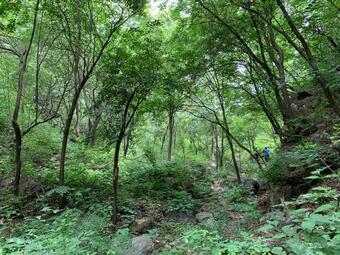 Hotel Cmyk Stoneyards By The Great Wall