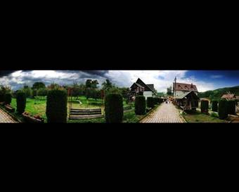 Bed & Breakfast Pensiunea La Mogan