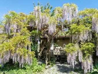 Apartment Z�b?eh-lukavice 1