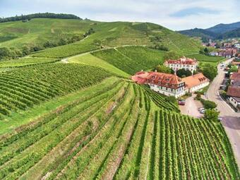 Hotel Schloss Neuweier