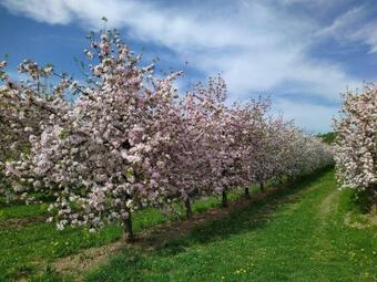 Apartamento Ferienhof Dachsberg Weitblick