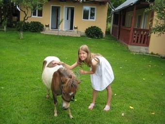 Hostal Casa Ardeleana