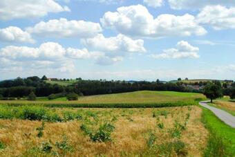 Apartamento Mayer Burgh�fe Ferienhaus Whg 1