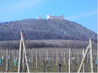 Hostal Penzion Bowling Bar