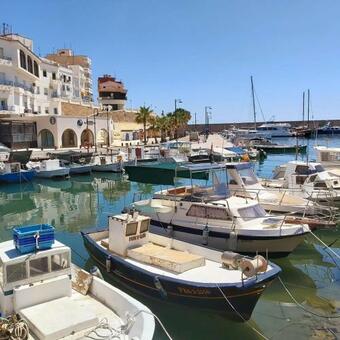 Hauzify I Apartament Alguer