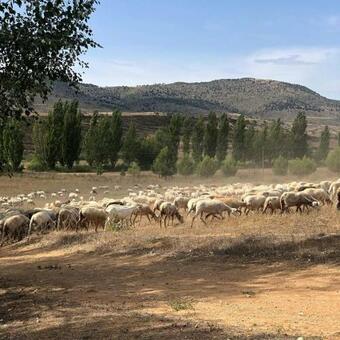 Hotel Rural Casa Pern�as