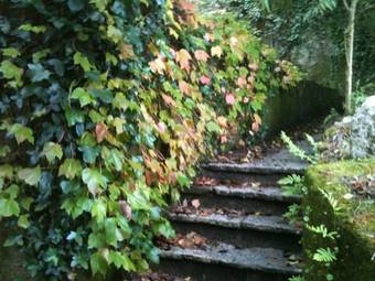 Quinta Do Castanheiro