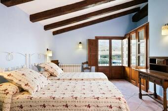 Desconexi�n Entre Olivos Centenarios