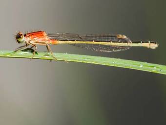 Chao Do Rio - Turismo De Aldeia