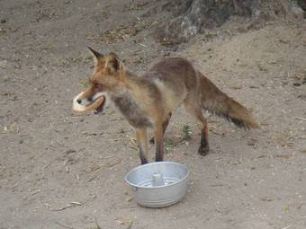 Hostal Monte Dos Arneiros