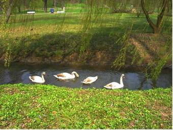 Hotel Przepi�reczka
