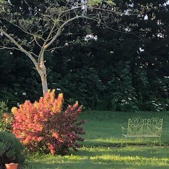 Bed & Breakfast Domaine En Castanet