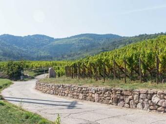 Stunning Apartment In The Heart Of Dambach La Ville