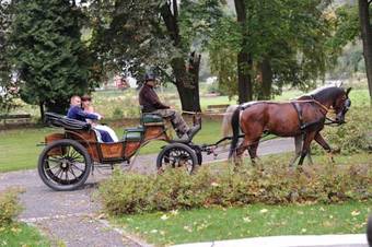 Bed & Breakfast Folwark