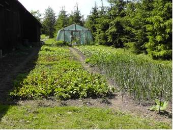 Hostal Siedlisko Sabinowo