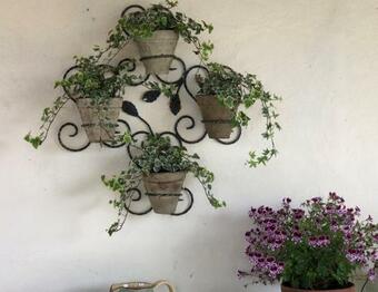 Bed & Breakfast Maison Lamothe