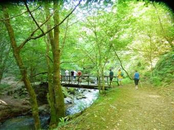 House With 2 Bedrooms In Gorses With Shared Pool Enclosed Garden And Wifi