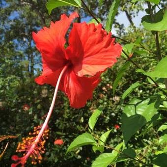 Bed & Breakfast Seagullcove Lodge