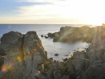 G�te La Chapelle-des-marais, 3 Pi�ces, 6 Personnes - Fr-1-306-863