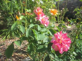 Bed & Breakfast Le Mas Lauralie