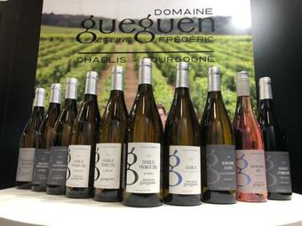 La Maison De Pauline, Chablis Vineyard