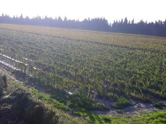 House With 2 Bedrooms In Pujaut With Enclosed Garden And Wifi