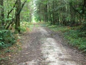 G�te Saint-avaugourd-des-landes, 6 Pi�ces, 10 Personnes - Fr-1-426-204