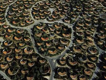 Maison Torreilles, 2 Pi�ces, 4 Personnes - Fr-1-530-24