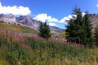 Chez Jean Pierre - Room 3pers In A 17th Century House - N 7