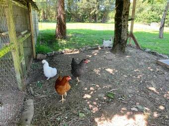 Hostal Couette & Croissant - G�te Et Chambres D'h�tes