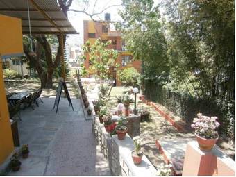 Hotel The Yellow House