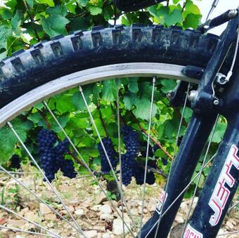 Les Maisons de Chamirey