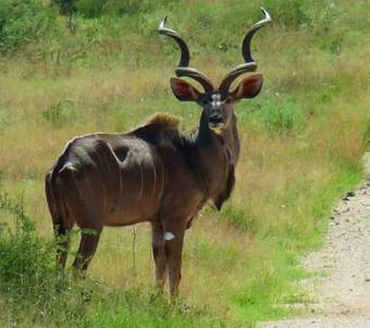 Agroturismo Onduruquea Guestfarm