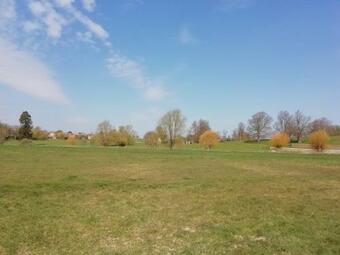 3 Painters Field