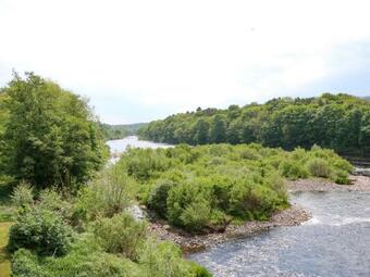 River View