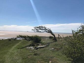 Hotel The Pheasant Inn