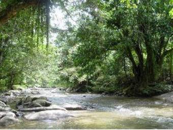 Lodge Sabah Tea Garden @ Cottages