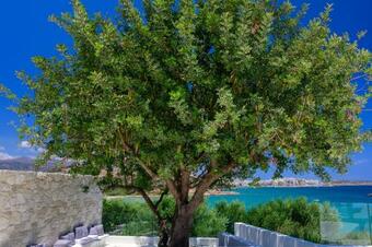 Hotel The Island Concept