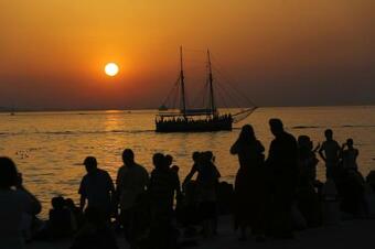 Bellevue Hill Apartment