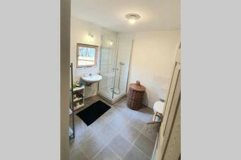 Szentendrei Sziget, Modern Fah�z, T�len Is