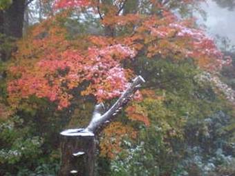 Posada Petit Resort Hotel Der Barte