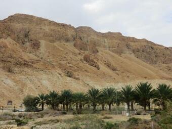 Lodge Ein Gedi Rooms Neve Zohar