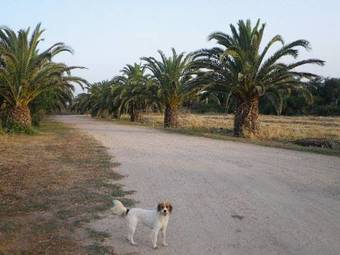 Agroturismo Cuccuruaio' B&B