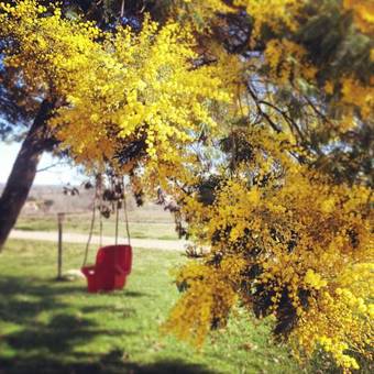 Agroturismo Agriturismo Creta Rossa