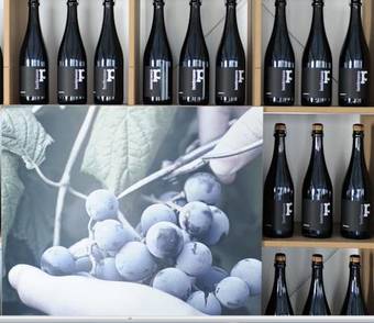 Agroturismo Pianderna Agriwellness